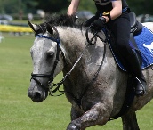 eventing